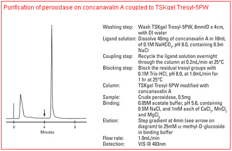 5d4b811522fd8.png A1.png